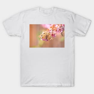 Common Buckeye Butterfly T-Shirt